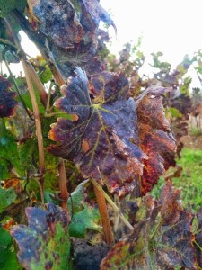 D0-9C-D0-B5-D0-B9-D1-81-D1-82-D0-B5-D1-80-2B-4-